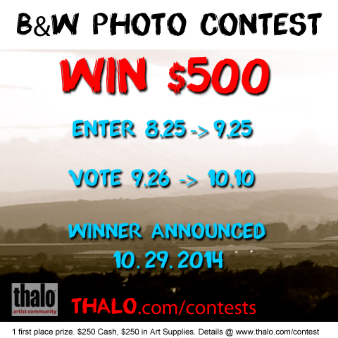 B&W Photo Contest
